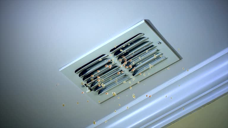 Best HVAC Air Duct Cleaning  in Thibodaux, LA