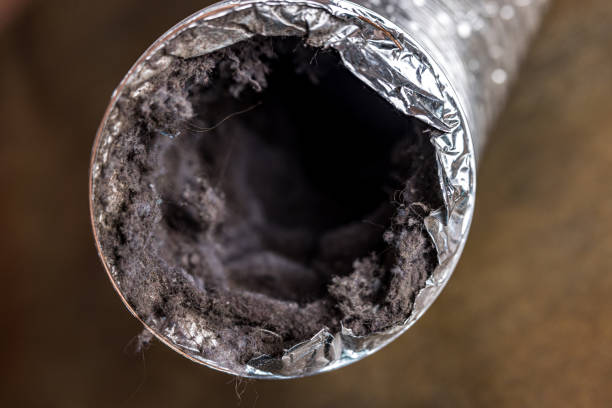 Best Local Air Duct Cleaning Services  in Thibodaux, LA
