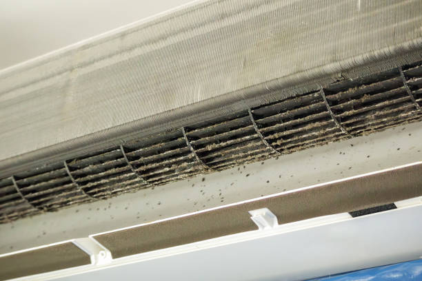 Best Best Air Duct Cleaning Company  in Thibodaux, LA